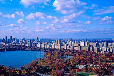 Rented by (Legacy) Elegran