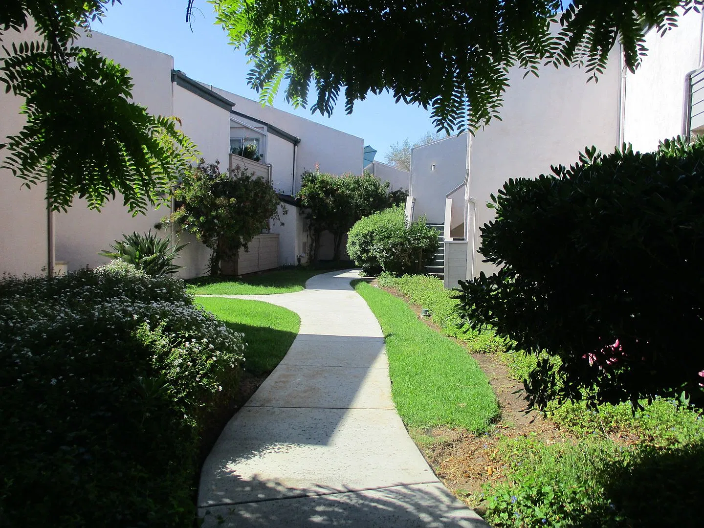 Linda Vista 2nd floor Studio w/Balcony — Photo 3