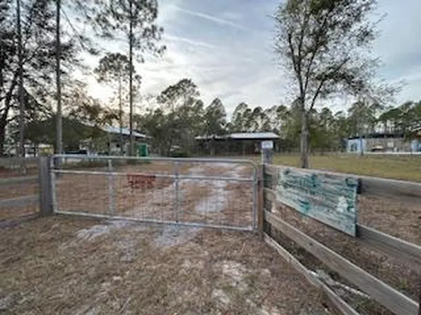 1109 NE Steinhatchee Cove Way, Steinhatchee, FL 32359