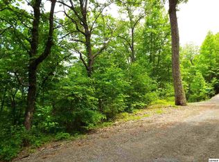 10 Overholt Trl #10, Sevierville, TN 37862