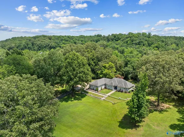 96 Seneca Springs Dr, Trinity, AL 35673