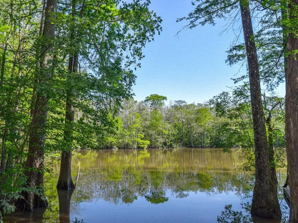 0 Riverside Rd, Springfield, LA 70462