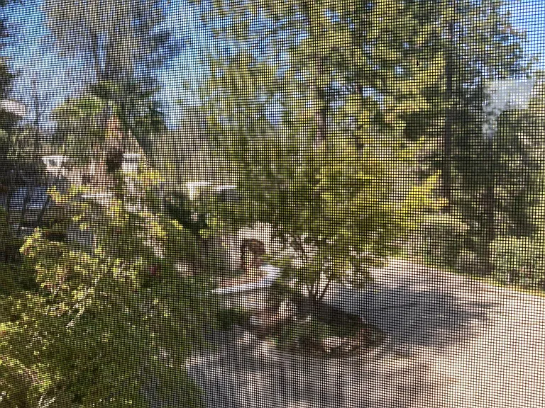 Northridge Dr — Photo 15