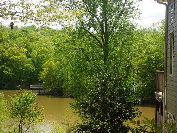 Numerous mature hardwoods