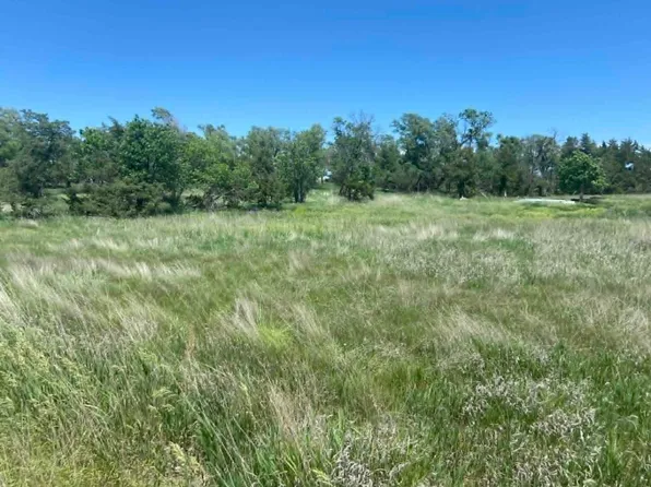 239th Street & 294th Avenue St, Vivian, SD 57576