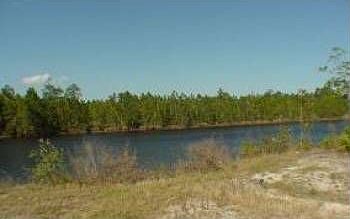 3rd image of 320 Crystal Lakes Dr