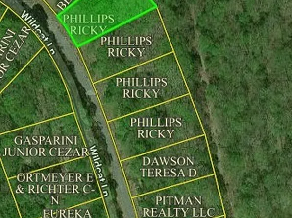 Lots 11 12 13 14 17 Wildcat Ln #11, Eureka Springs, AR 72631