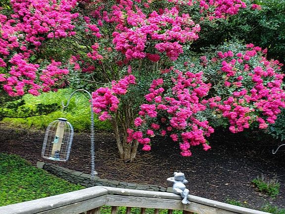 3rd image of 3227 Homewood Rd