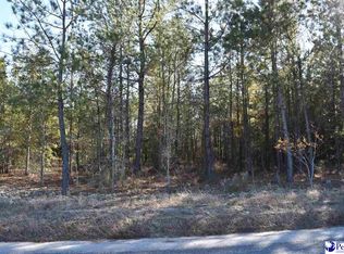Horseshoe Rd, Pamplico, SC 29583
