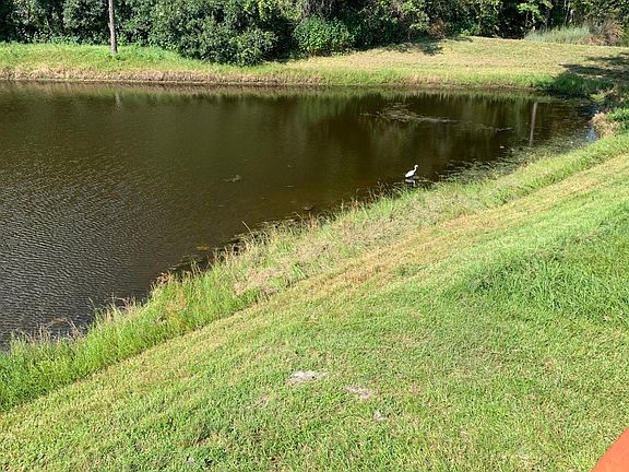 Pond view