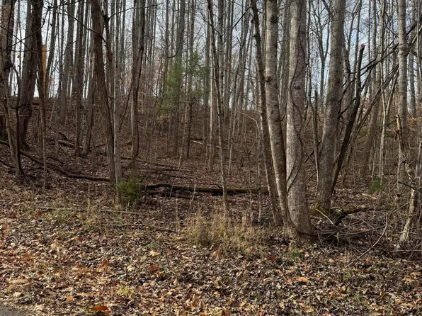 0 Golf Course Rd, Unicoi, TN 37692