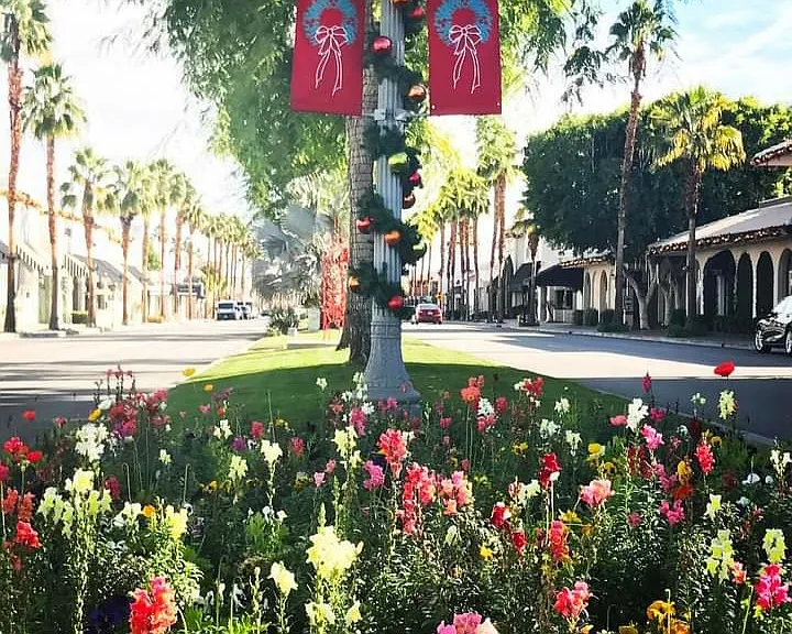 Sierra Vista Dr — Photo 20