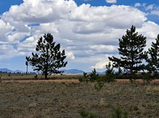 311 Haystack Rd, Hartsel, CO 80449