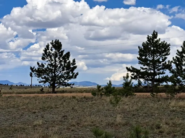 311 Haystack Rd, Hartsel, CO 80449