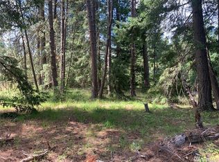 111 Domerie Bay Rd, Ronald, WA 98940