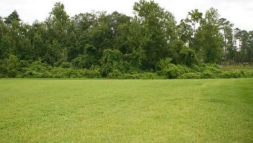 3rd image of 347 Osprey Lakes Cir