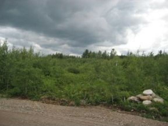 Open Area & County Land 