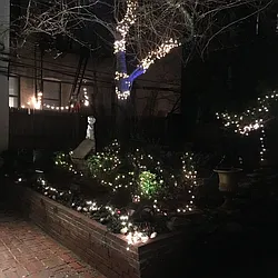 Rented by Dynamik Realty