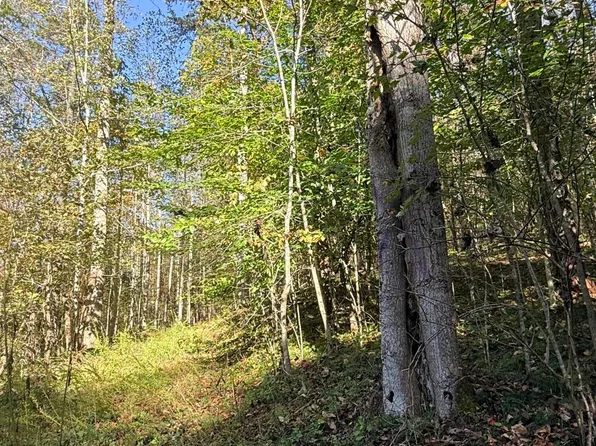 Eatons Chapel Rd, Staffordsville, VA 24167
