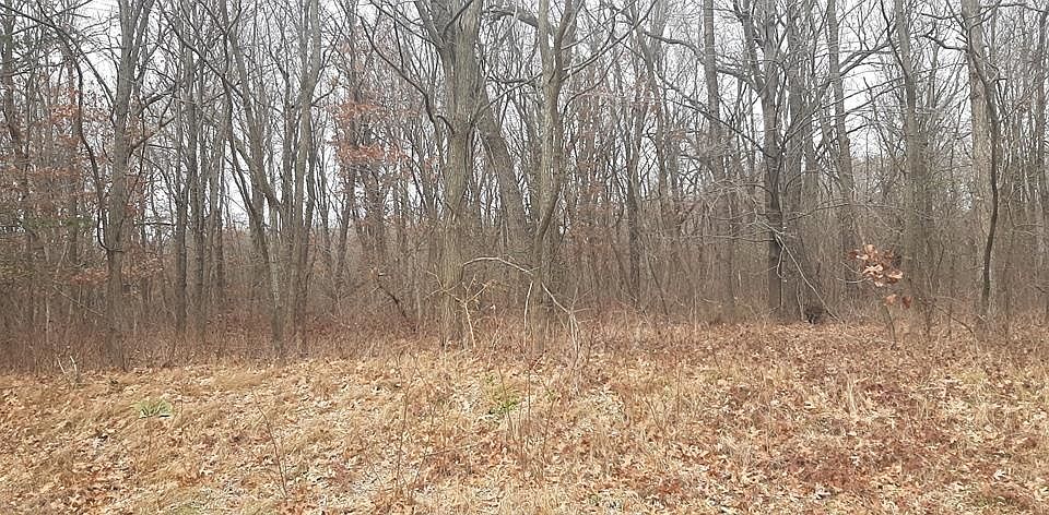 2nd image of LOT 305 Hunters Gln