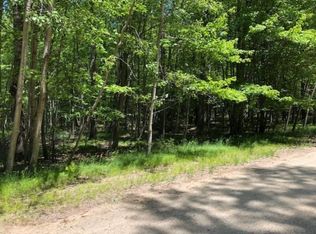 9224 Walnut Grv, Stanwood, MI
