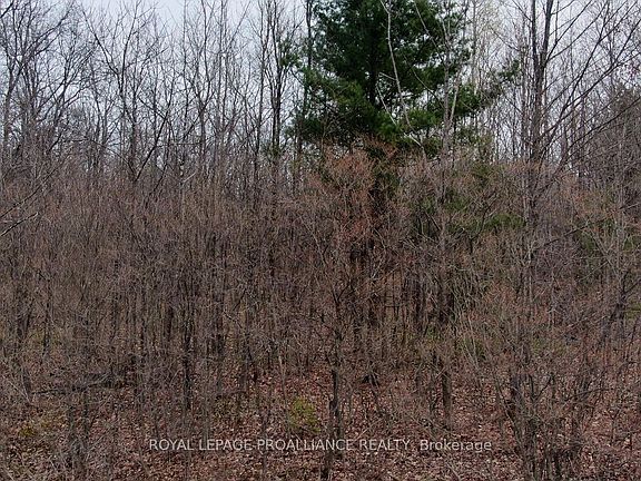 5th image of 0 Graham Lake Rd