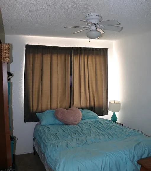 5253 Desert Shadows Dr — Photo 16