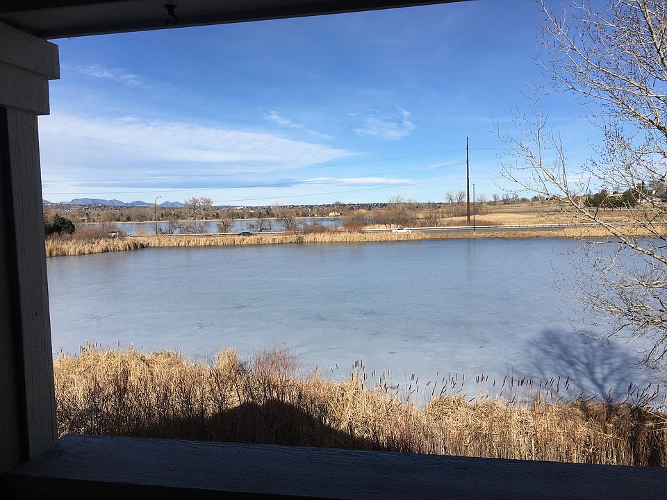 Winter Patio View