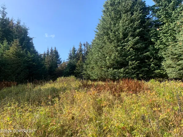 0 Halftrack St, Homer, AK 99603