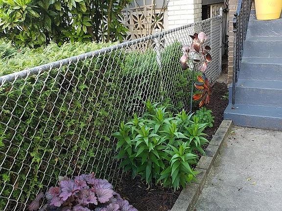 Orren St Front Yard Plants