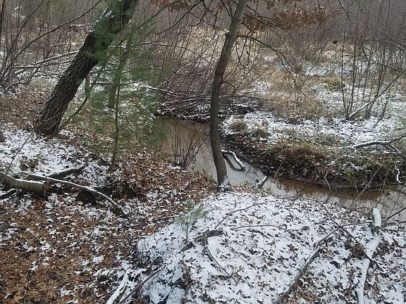 Creek on the property
