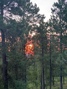 LOT 10 Sugarloaf Ct, Lead, SD, 57754