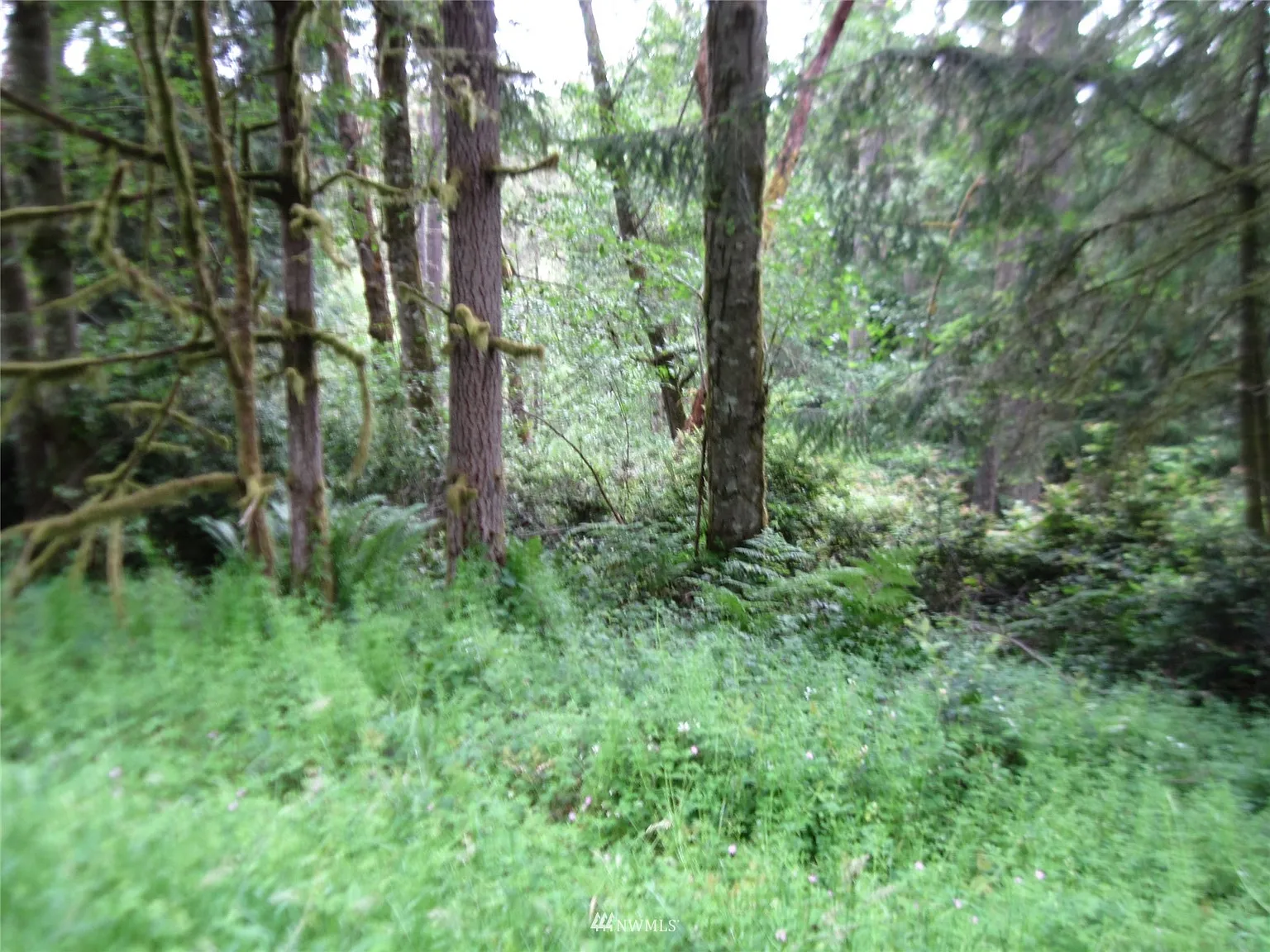 11513 Breaker Way photo 1