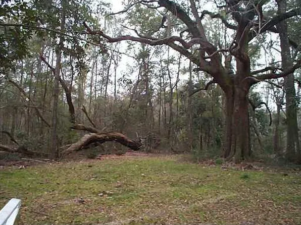 Mimosa Cv Lot 7, Ocean Springs, MS 39564