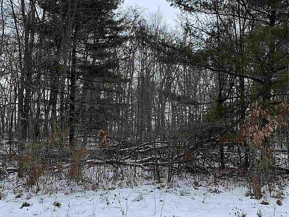 2nd image of Badger Ct Lot 72