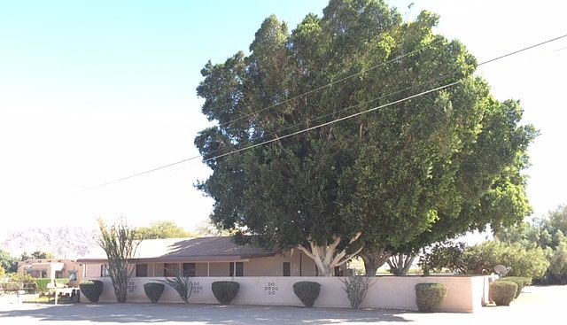 1st image of 8101 S Highway 95