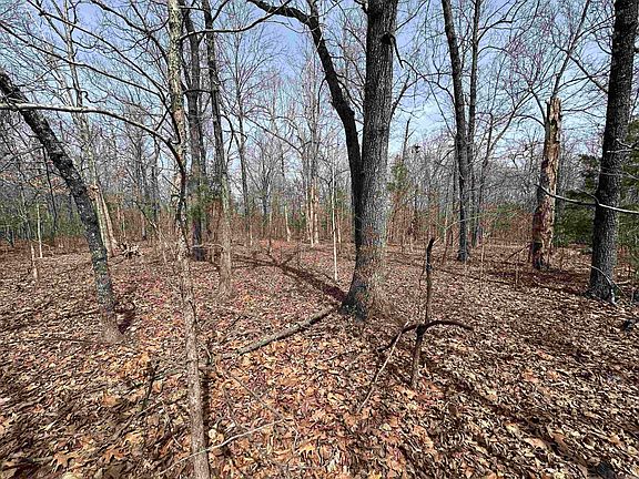 4th image of Claxton Rd