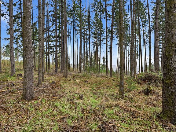 3rd image of NW Pumpkin Ridge Rd