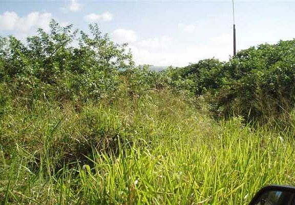 3rd image of LOT 37 Lot 37