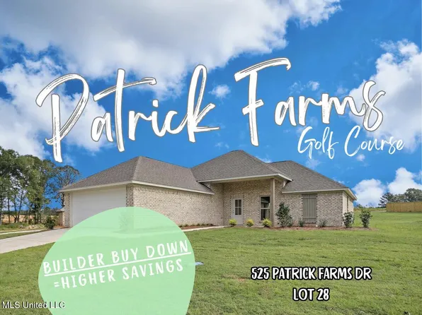 525 Patrick Farms Dr, Pearl, MS 39208