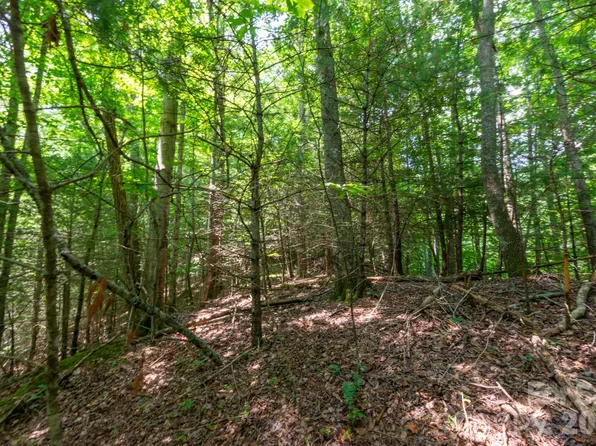 Board Tree Rd #6, Marshall, NC 28753