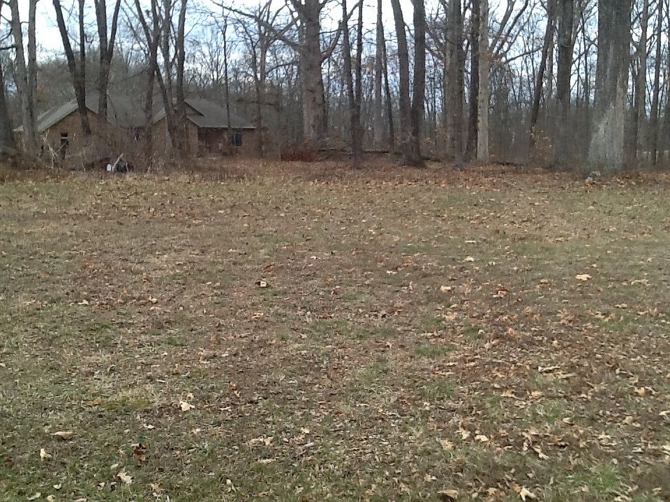 2nd image of 10265 Bluffview Ave