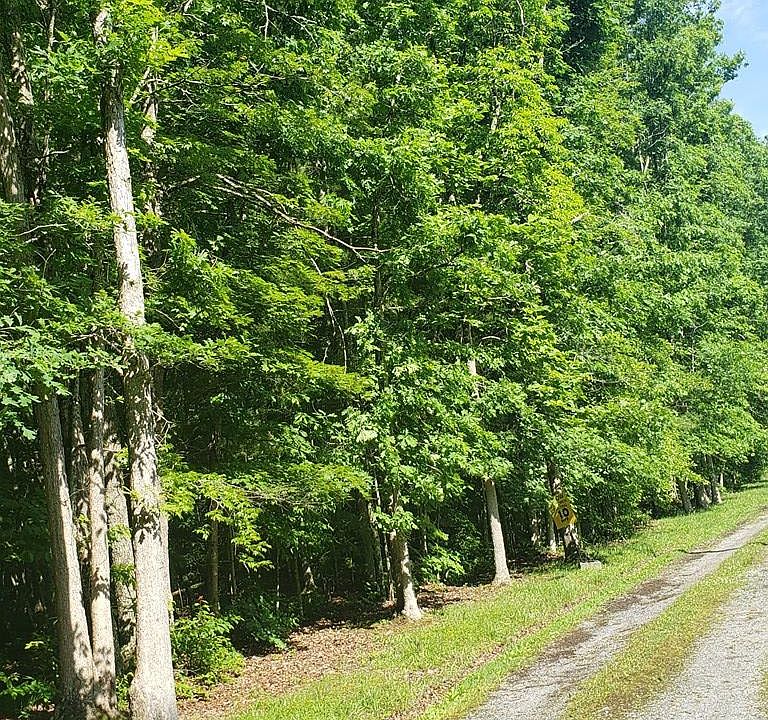 2nd image of 170 Pine Grove Rd