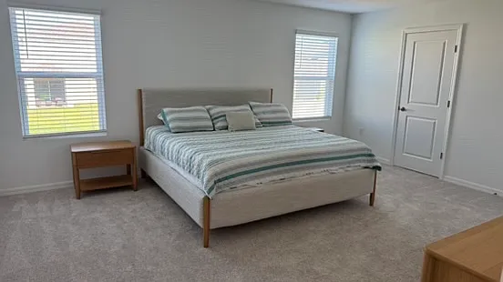 4520 Ranunculus St — Photo 12