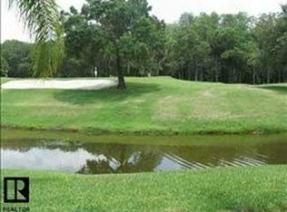 5148 Pinnacle Dr, Oldsmar, FL 34677