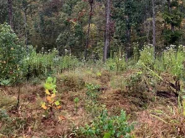 151 Madison St #410, Fredericktown, MO 63645