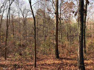 470 Salacoa Rd, Fairmount, GA 30139