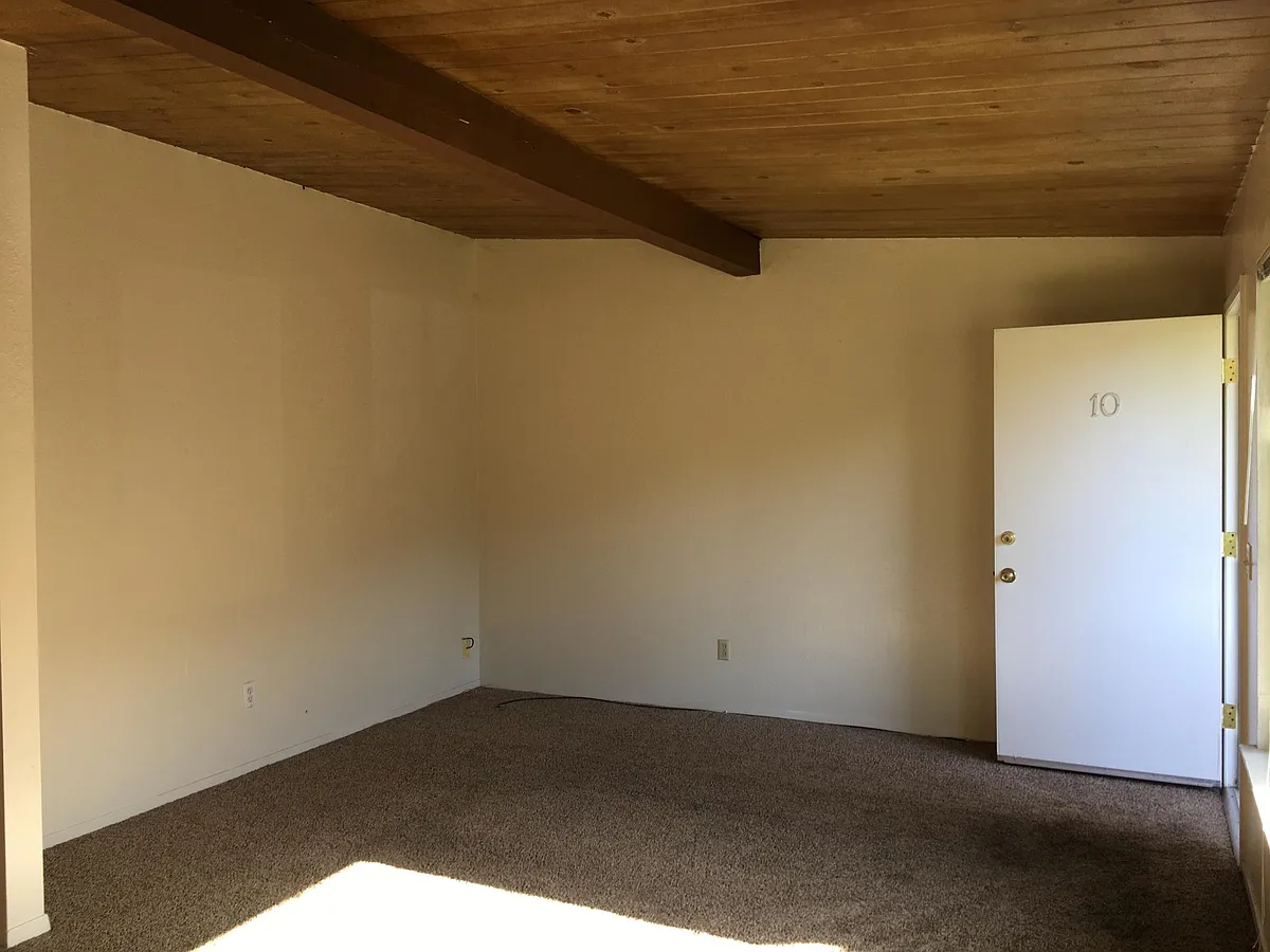 Living room - 505 Brizzolara St #10