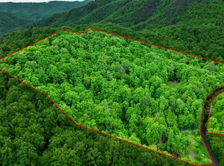 177 Fork Mountain Rd, Roan Mountain, TN 37687