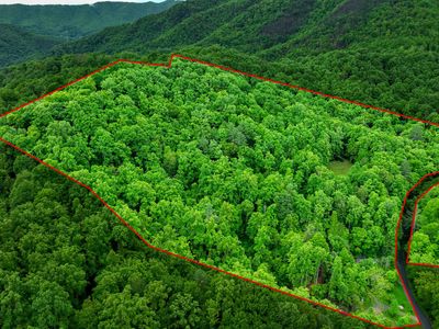 177 Fork Mountain Rd, Roan Mountain, TN, 37687